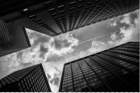 A SCENE_CITY 1 2014, NEW YORK FIFTH AVENUE_150*100